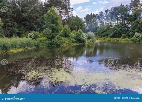 puszcza bolimowska|Bolimów Landscape Park